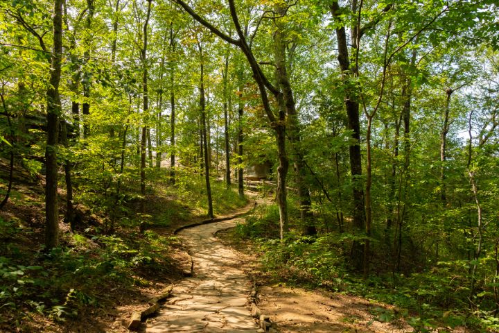 Thing To Do Harbor Country Hiking
